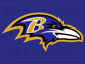 NFL Cape- Baltimore Ravens